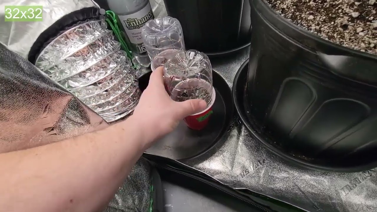 ZOLTRIX GROWER - COLORS OF CANNABIS! AUTOFLOWERS   