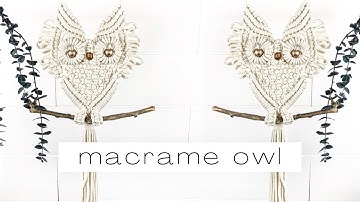 The CUTEST Macrame Owl Tutorial