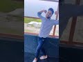 Untitled video
