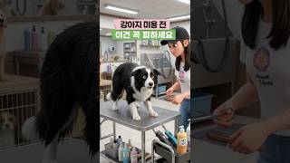 강아지 미용 전 주의사항!