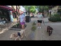 NEW! St. Augustine The Oldest City in US Tour Part 2 #Florida #travel #tour #beautiful #lovely #best