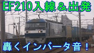 EF210 144号機 入線から出発まで 轟くインバータ音！