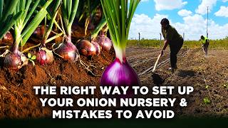 Setting up Our Onion Nursery | Every Step We Took & Why We Chose Neptune F1 and Red Creole