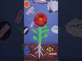photosynthesis paper craft 😍#paperart #photosynthesis #diy #viral #short