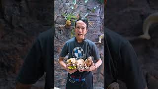 BAGIIN ILMU MAHAL TERUS DI KONTEN SECARA GRATIS #igabakarsijangkung #shortsviral
