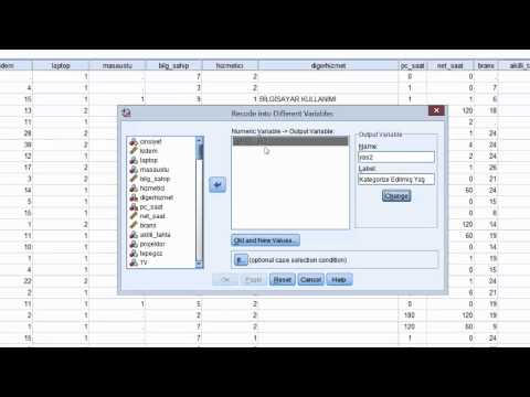 Video: Değerleri qualtrics'te nasıl yeniden kodlarsınız?