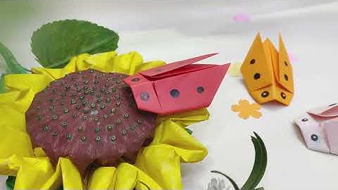 Gấp giấy tạo hình bọ rùa | DIY Kids