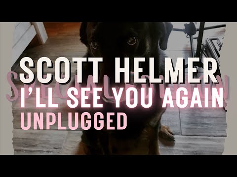 Scott Helmer - I'll See You Again (Unplugged Official Audio)