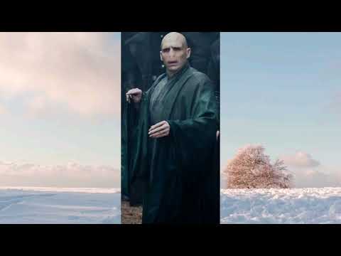 Video: Mohl Voldemort zabít Harryho?