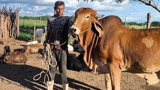 VEJO GARROTÃO DA RIFA COMO ESTÁ BONITO E FLÁVIO CONTINUA NAMORANDO COM A PROFESSORA MUITO EDUCADA