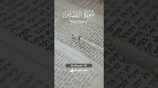 Surah Al-Qasas 45 | Hindi - Urdu Audio translation | سورة القصص alqasas hindi urdu islamdaily