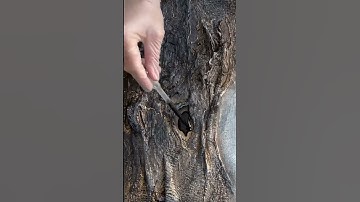 Transform Your Art with Stunning Textures & Gold Accents 🌟 DIY #art #gold #epoxy