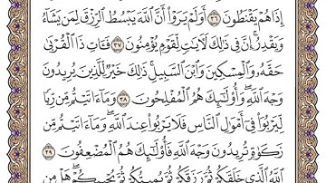 تلاوة سورة الروم من الآية 31 الى الآية 45