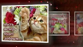 ДОБРЫЙ ВЕЧЕР, ДРУЗЬЯ!💃💃💃🌹😉