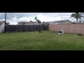 Middle of video