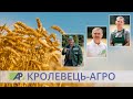 Кролевець-Агро, компанія Групи Агропросперіс