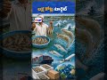 India Targets ₹1 Lakh Crore Seafood Exports | National Seafood Workshop in Visakhapatnam