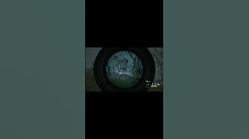 making a call of the wild video every day until I get 1000 subs day502