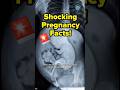 Shocking Pregnancy Facts🤰| Things Most Moms Don’t Know | XRAY 3D