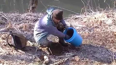 Trapping 2013-2014 season.