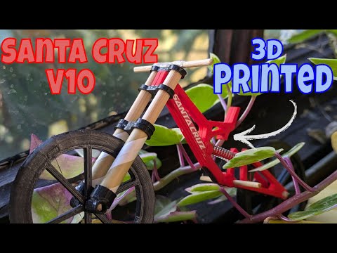 Santa Cruz V10