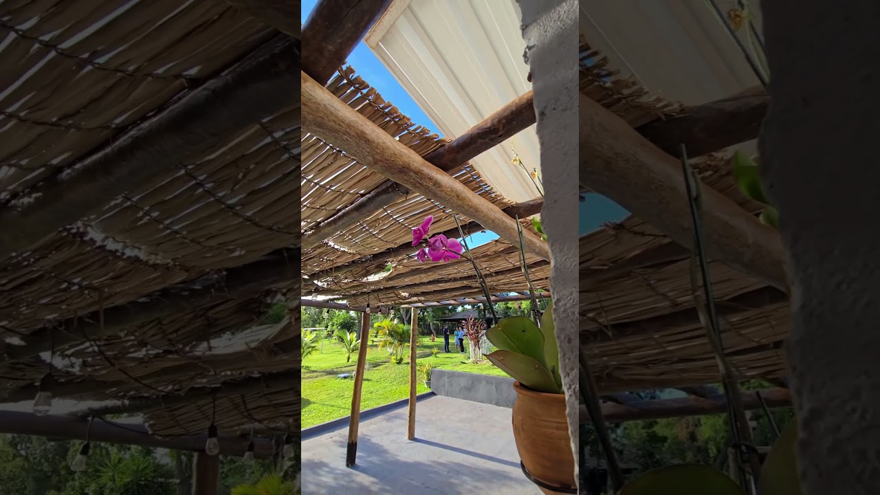 Chacreiro Amador Vixxiii🤦🏾‍♂️