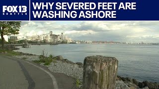 Why Severed Feet Keep Washing Ashore In Puget Sound, According To Experts