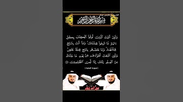 سورة البقرة الآية 145 بصوت الشيخ فارس عباد برواية حفص #القرآن_الكريم #اكسبلور #المصحف #duet #viral