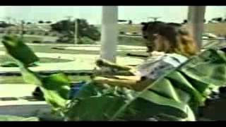 Los Temerarios   Ven porque te necesito