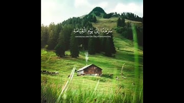 قرآن كريم تلاوة هادئ ارح قلبك و سمعك 🎧💙حالة واتس إسلامية /استوري انستغرام