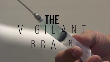 The Cognitive Process of Vigilant Attention - A Study with Denny Sasongko