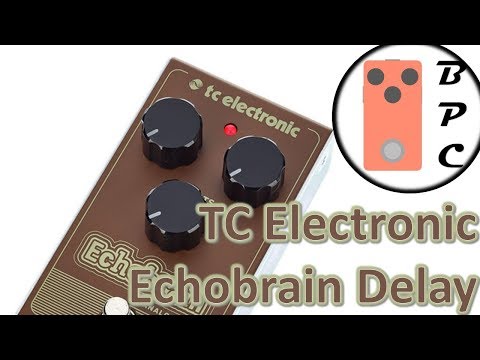 ★TC ELECTRONIC 　 ECHOBRAIN エフェクター TC Electronic Echobrain Analog Delay Pedal | Sweetwater