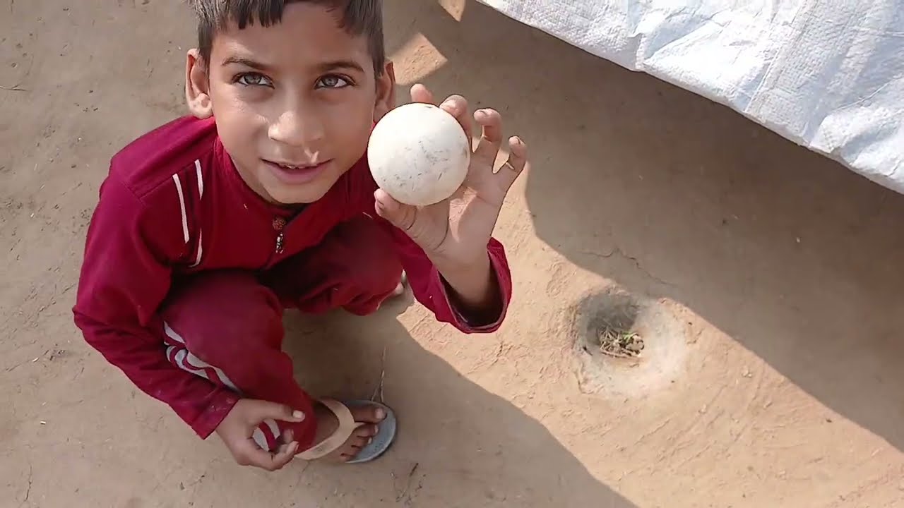 Sunny ball dikha raha hai 😦#life #youtube   tata bye-bye 👋