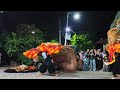 SOLAH TERBAIK PEMBARONG MUDA!!!PAGELARAN SENI REOG SINGO BUDOYO DESA BEDURI