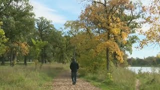 Fall forecast: Warm weather stays in Ont. as B.C. gets rain