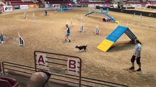 Stevi-Nixx & Lindsey - UKI US Open 2025- Master Series Agility 5th Place. 8th Overall!