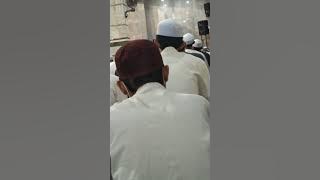 Ya Rasulallah Salamun'alaik - Majelis Rasulullah saw || @MajelisRasulullahSAWOfficial