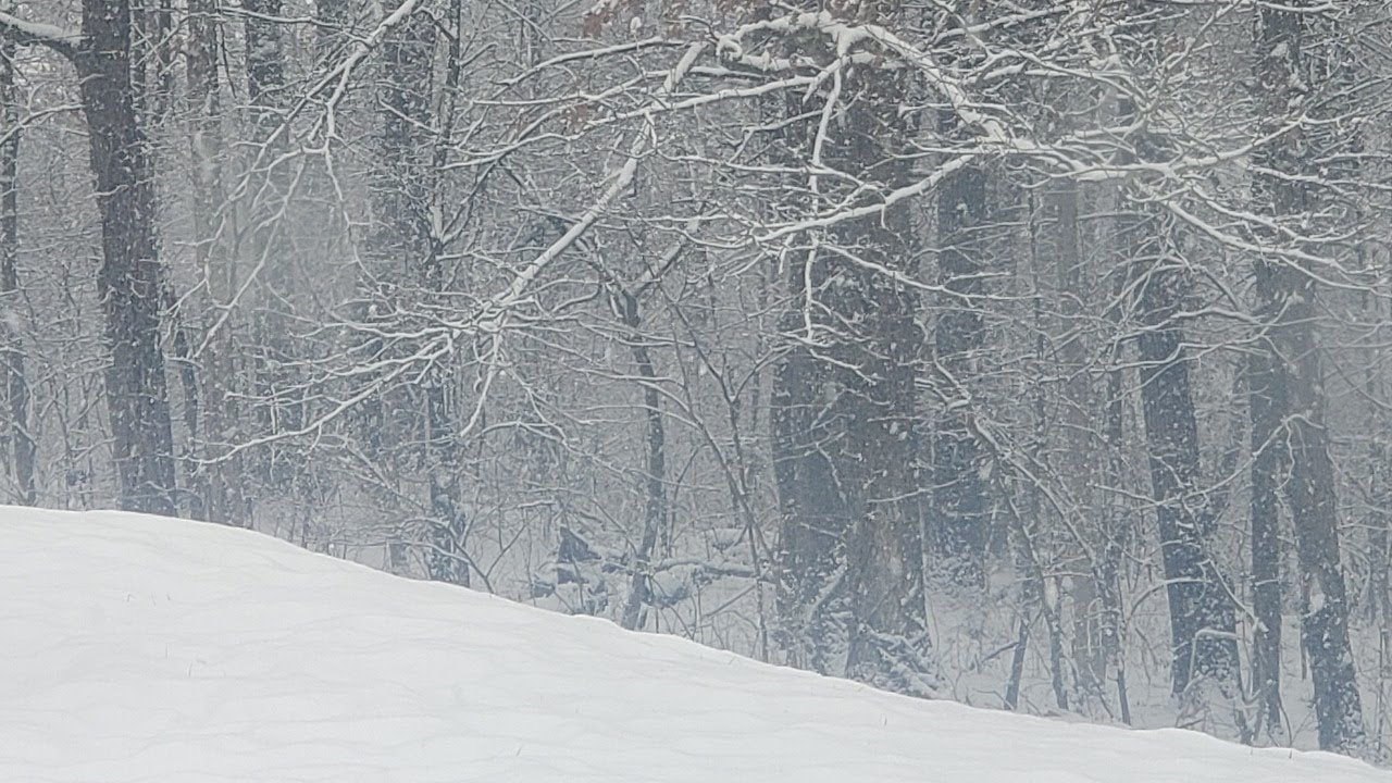 Good Morning Chat Getting Snow Again Super Bowl Sunday Snow Superbowl 21 Chat Youtube Good Morning Chat Getting Snow Again Super Bowl Sunday Snow Superbowl 21 Chat Youtube