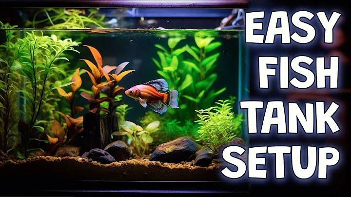 Low Maintenance Fish Aquarium 10 Gallon Tank –  JBJ Rimless Fish Tank Set up