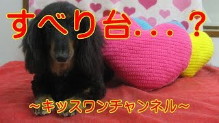 KiSSWann(キッスワン) 詳しくは⇒⇒⇒http://kisswann.com 『お泊りに来て...