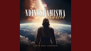 Ndinoshamiswa Kwazvo