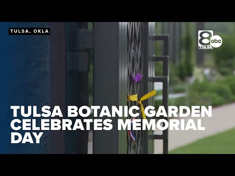 Channel 8 News Anchors Tulsa Oktimeline Videos