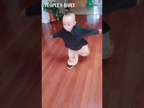 Praying mantis kungfu