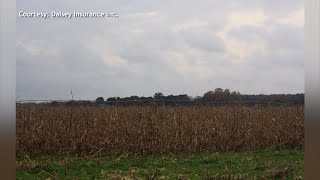 Daisey Insurance can Help Navigate the Process of Securing Crop Insurance