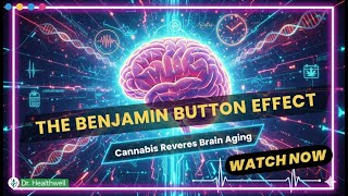 The "Benjamin Button" Effect: Does Cannabis REVERSE Brain Aging? (New 2025 Study)
