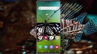 Samsung Galaxy S20 : How to enable Share Gif Ar Emoji sticker in high quality (Android 11) screenshot 5