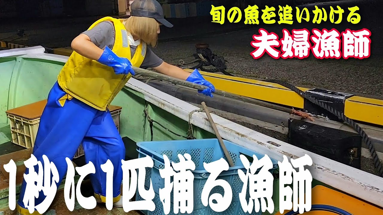 【夫婦漁師】1秒に1匹捕る漁師!Catching fish as a couple fishermen - YouTube