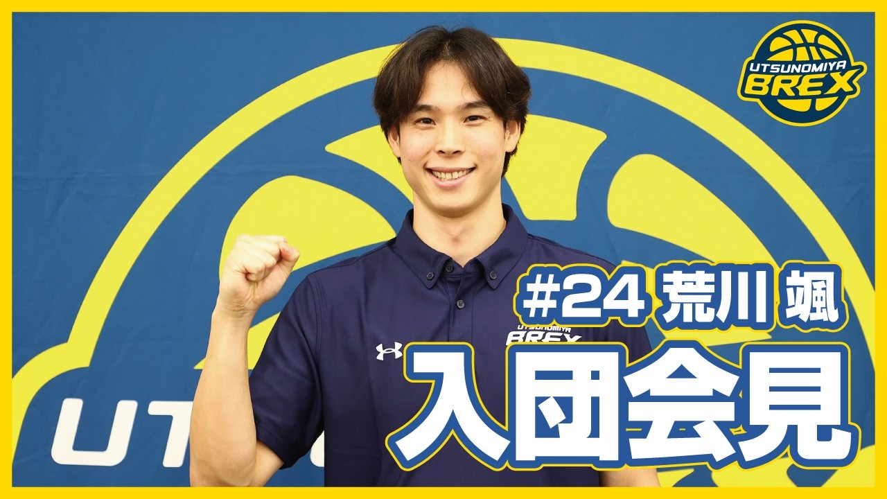 ハイライト動画