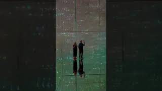 TeamLab Borderless, Tokyo, Japan — May 4, 2026
