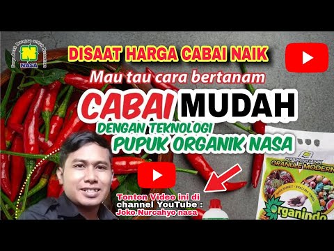 081233750366 Simp Budidaya Cabe Organik iCarai iMenanami Cabe 081233750366 Simp Budidaya Cabe Organik iCarai iMenanami Cabe